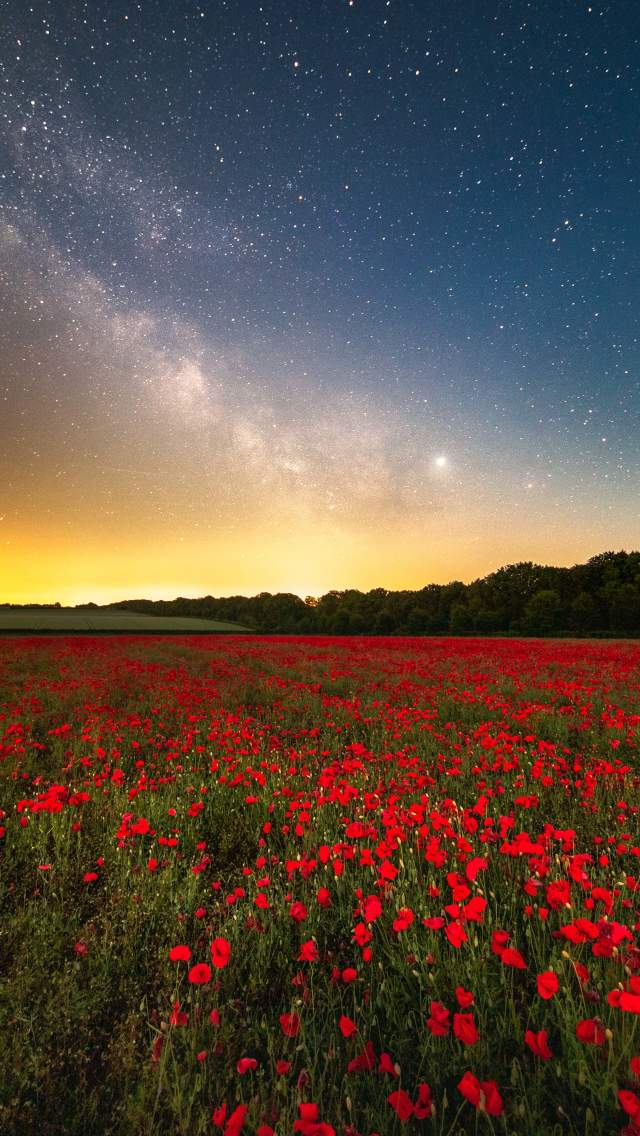 Badbury Rings Poppy Field Milky  Way