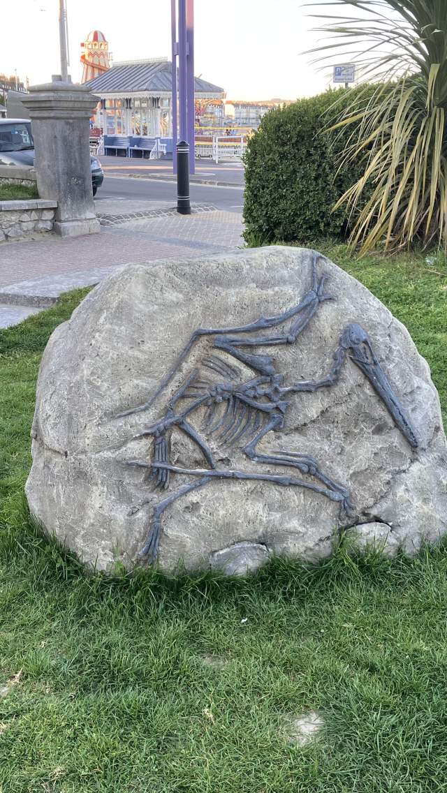 The Fossil Trail at Alexandra Gardens in Weymouth