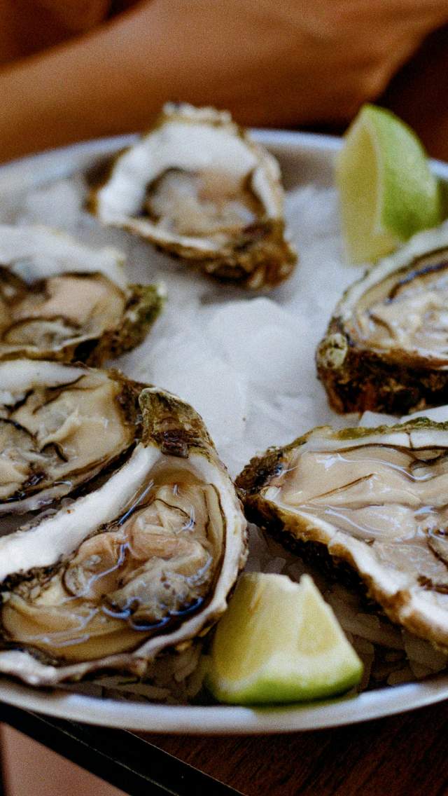 A plate of 6 oysters on ice with wedges of lime.