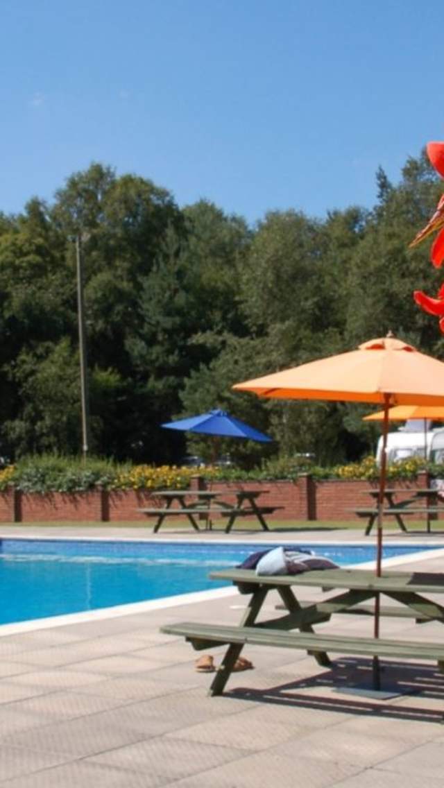 Outdoor swimming pool at Wareham Forest Tourist Park, Dorset