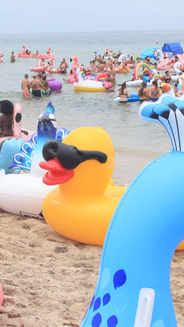 flockfest