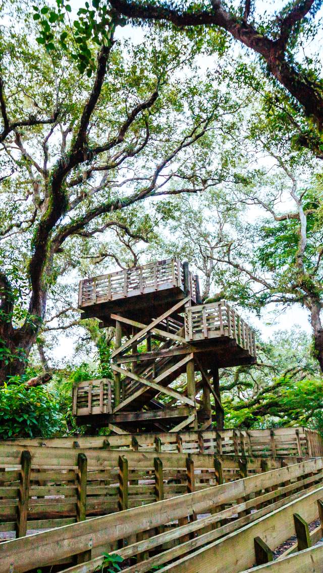 Tree Tops Park