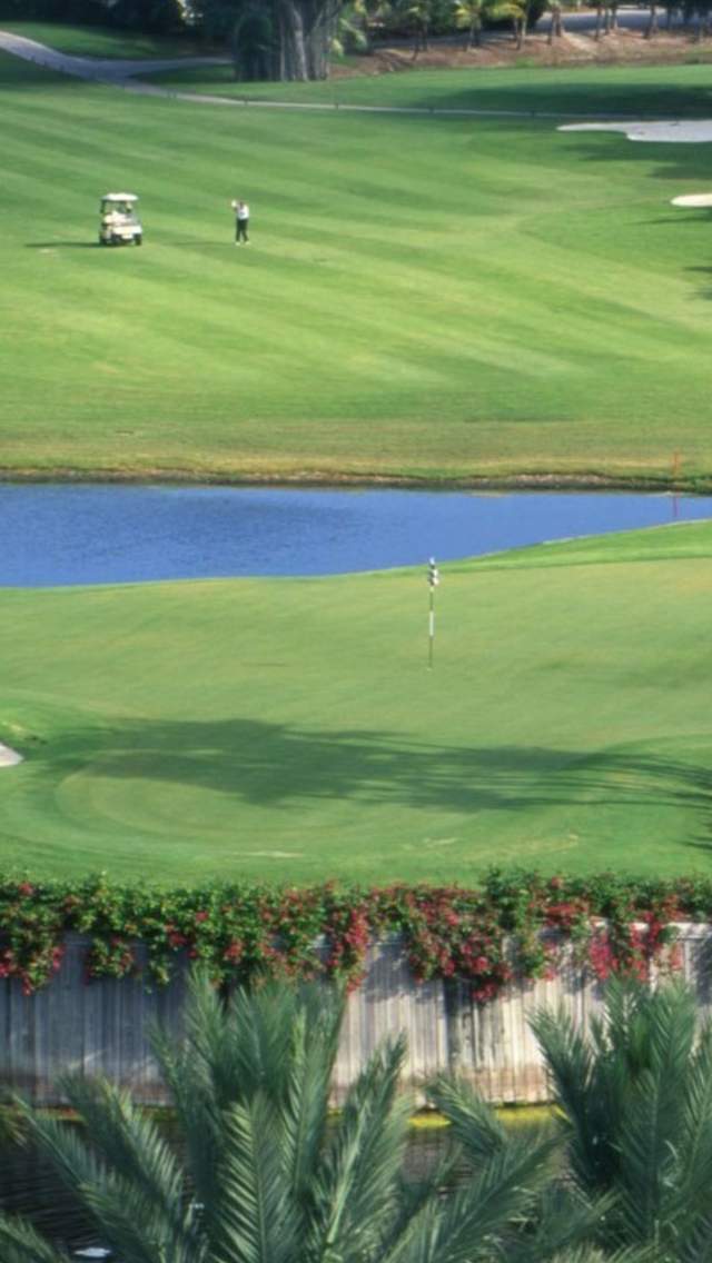 DiplomatGolf