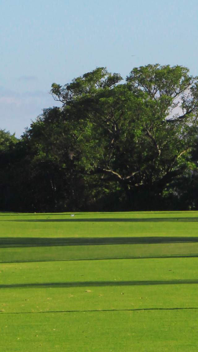 GolfGirl