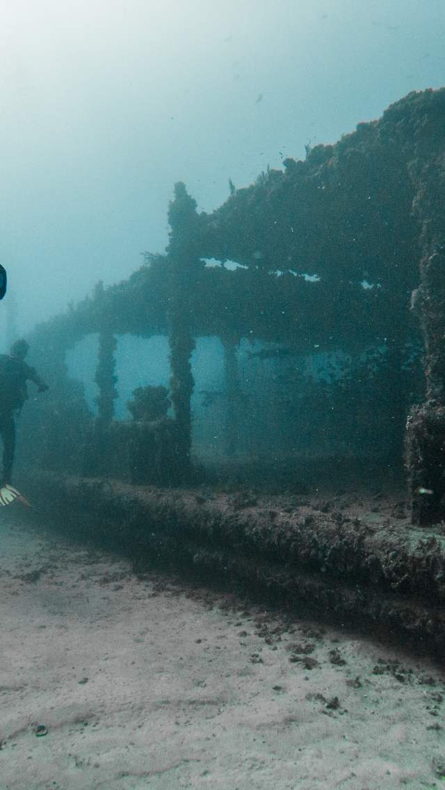 Divers