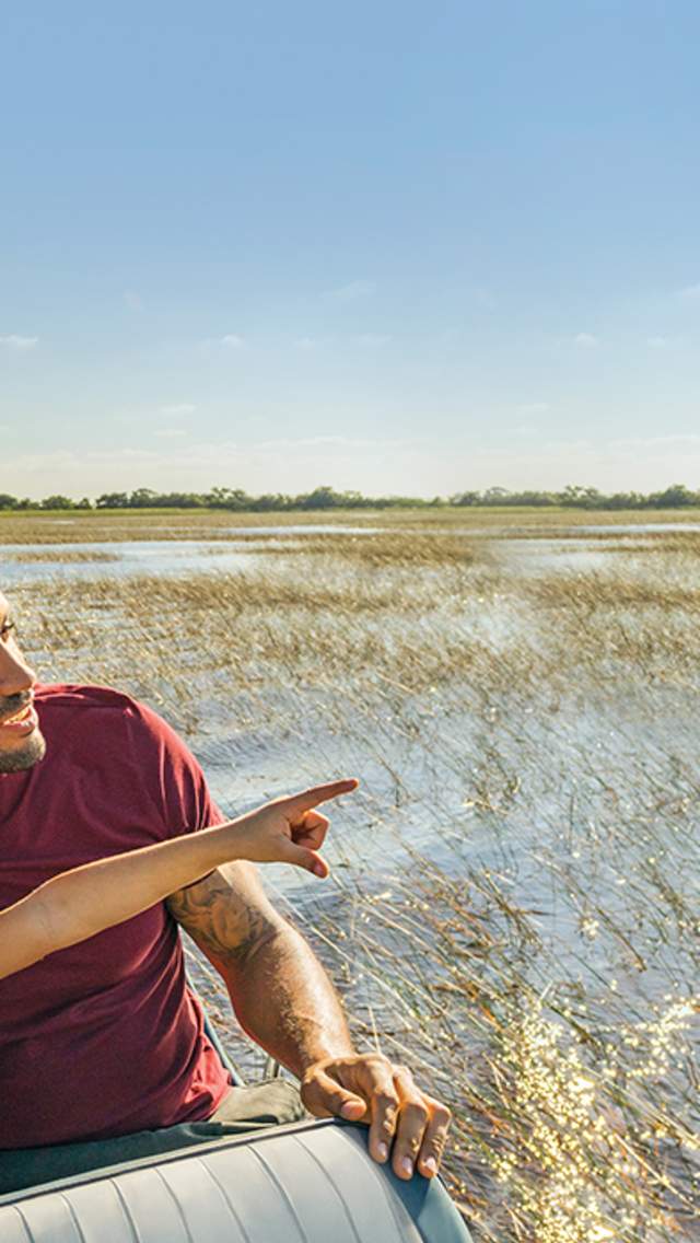 everglades