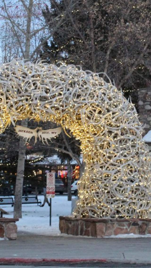 Antler Arch with holiday lights