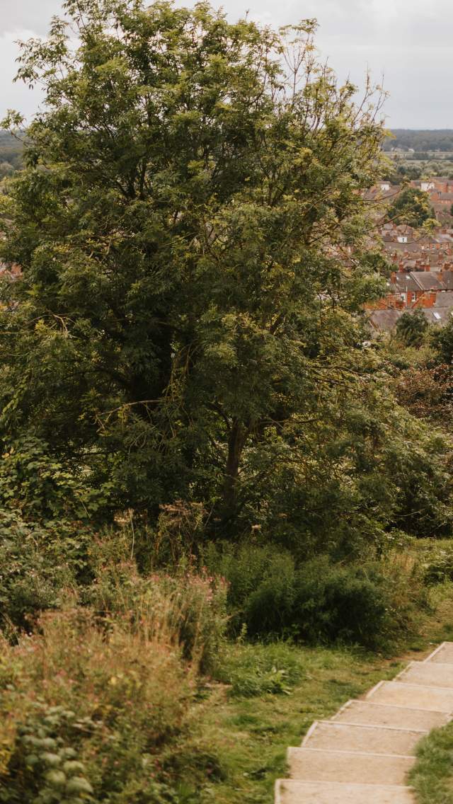 The view of the Lincoln skyline from Liquorice Park, with a footpath leading down into woodland