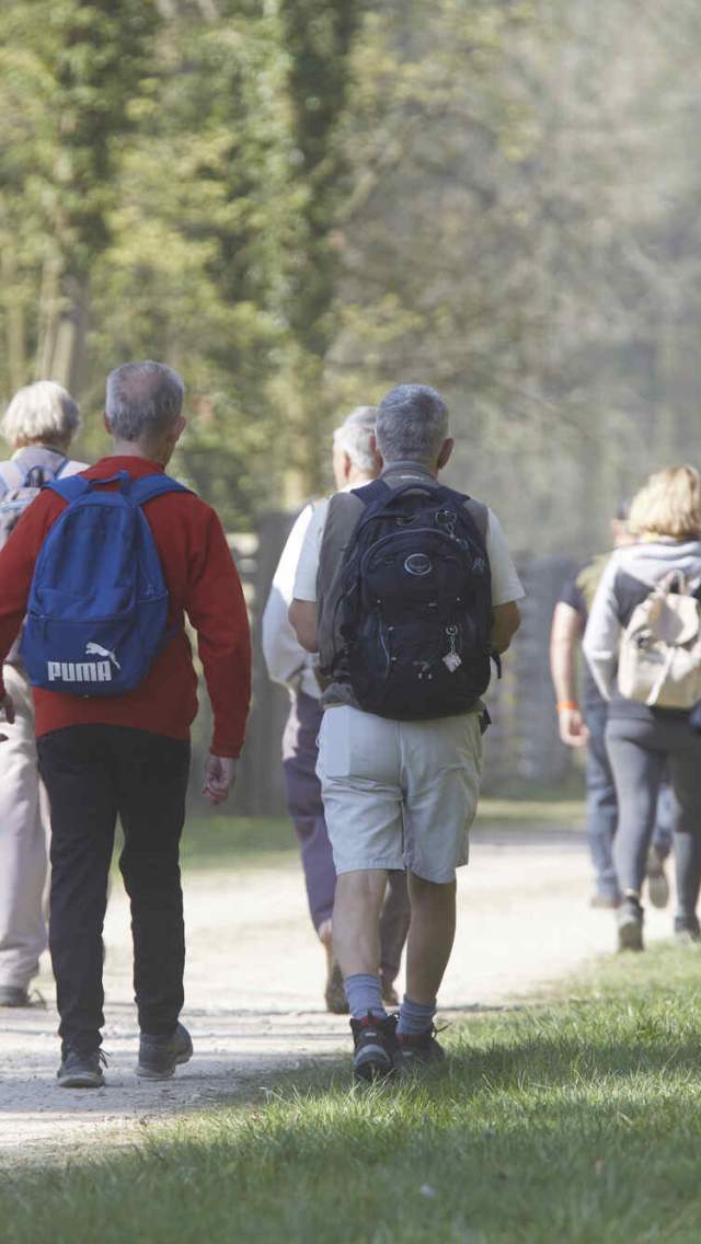 A group of people walking along a path at the Lincolnshire Wolds Outdoor Festival.