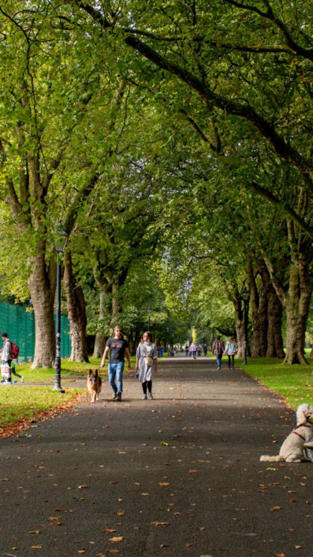 A wide path in a park lined with trees either side and two people sitting on a bench with a sandy coloured dog