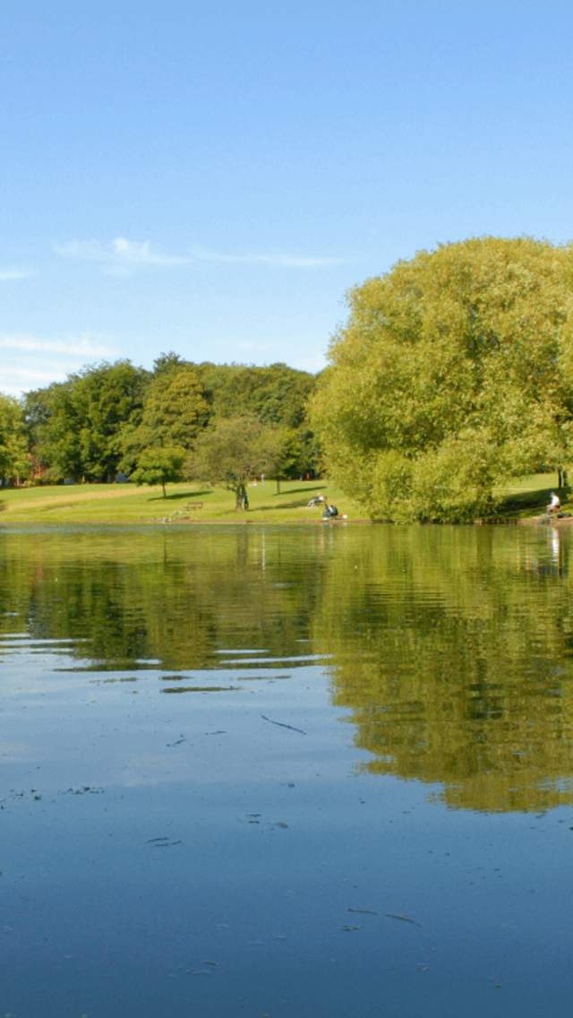Sefton Park lake