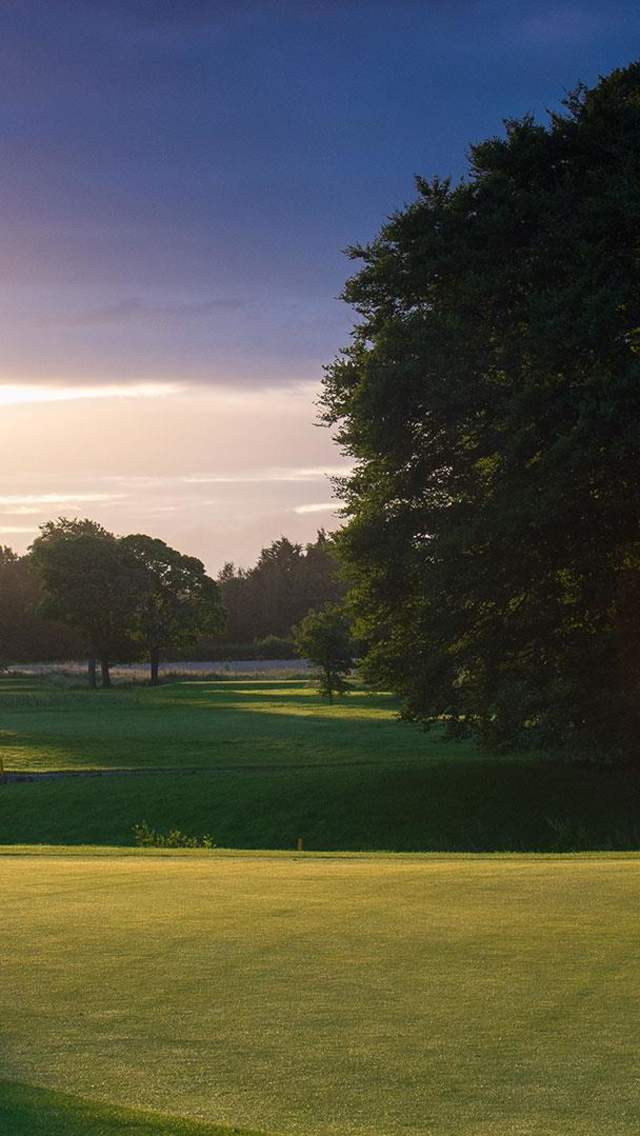 Sun shining through a tree over a green at the Galgorm Castle Golf Club