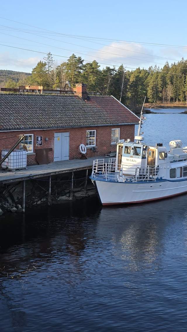 MS Yrja