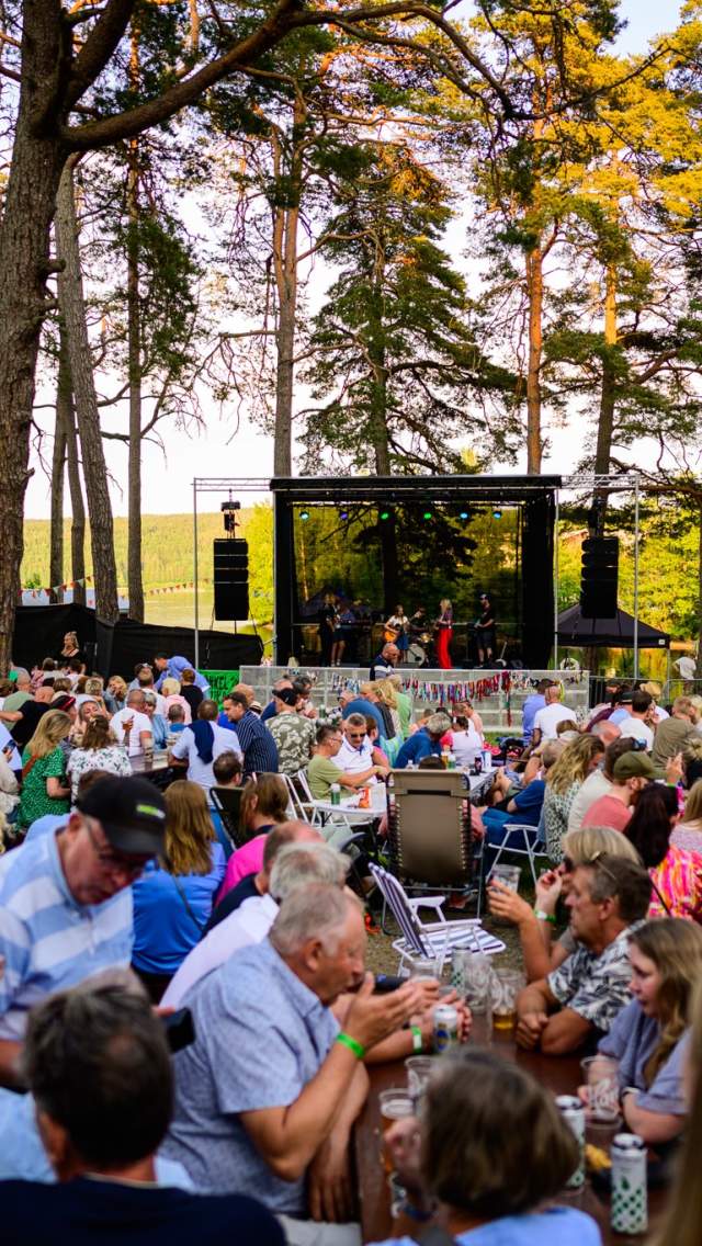 Bilde fra en konsert under Fest i Va