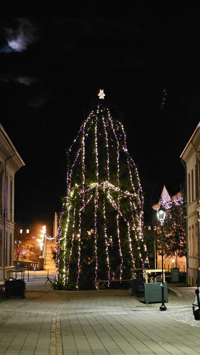 Juletre i gågata i Halden