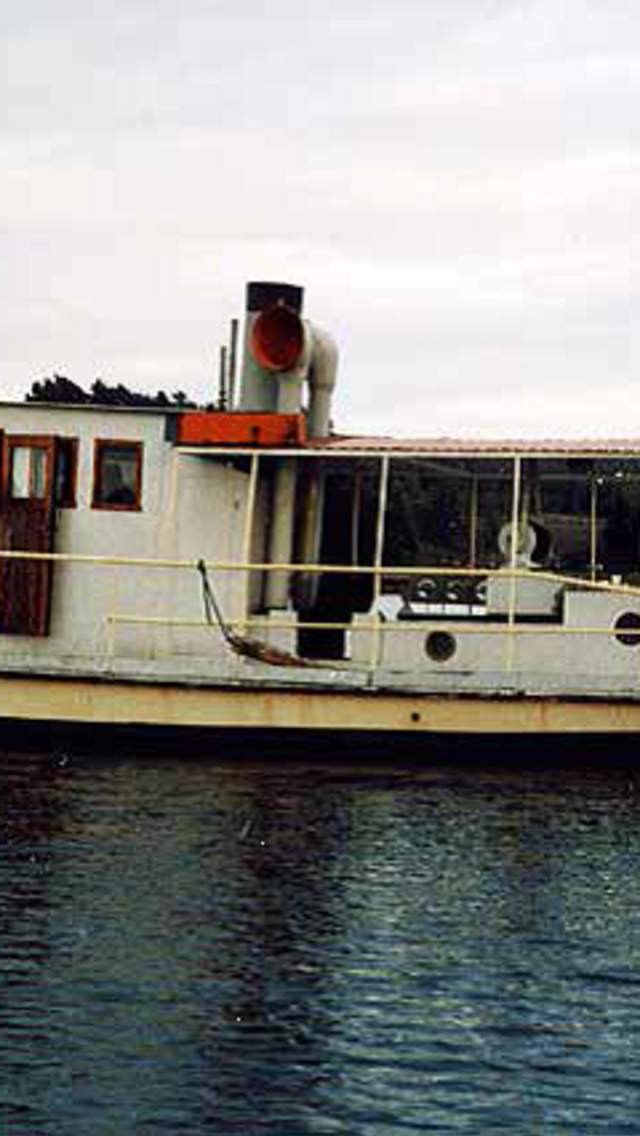 DS Ara