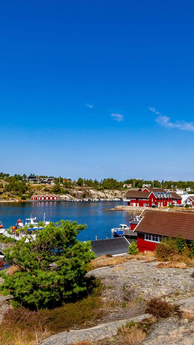 Havna i Engelsviken med sjøhus og båtliv