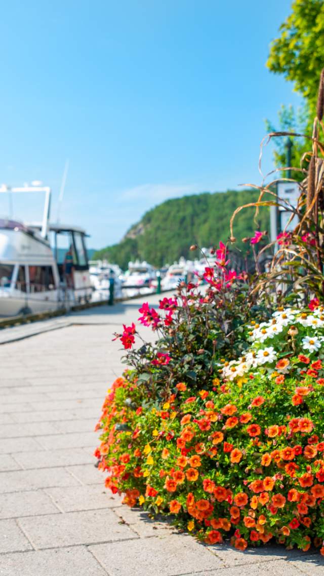Gjestehavnen i Halden