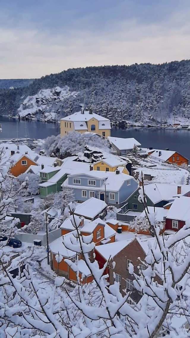 Vinterutsikt fra toppen av Knardalsbakken