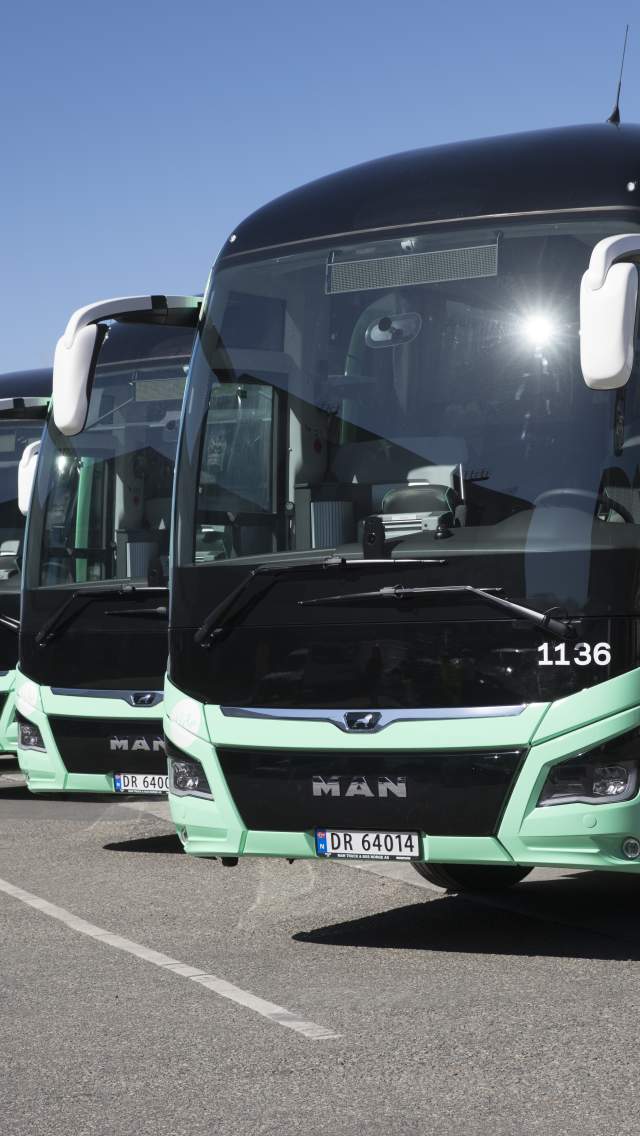 Mange busser på en parkeringsplass