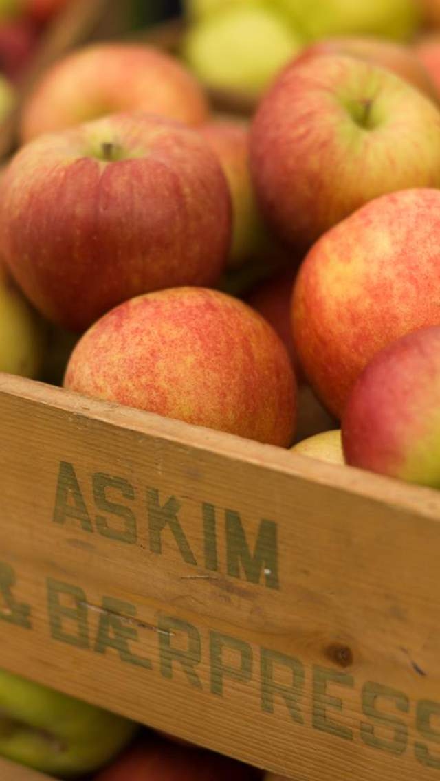 apples in a wooden box with Askim fruit and berry pressing on it