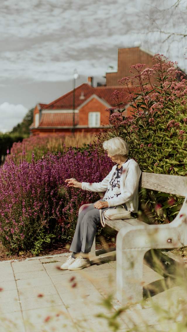Eldre kvinne som sitter på benk i krikeparken i Sarpsborg og ser på staudene og blomstene. Foto.