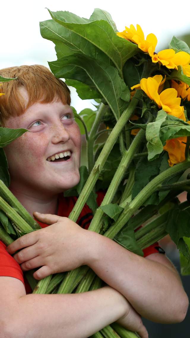 Picture of somebody with sunflowers
