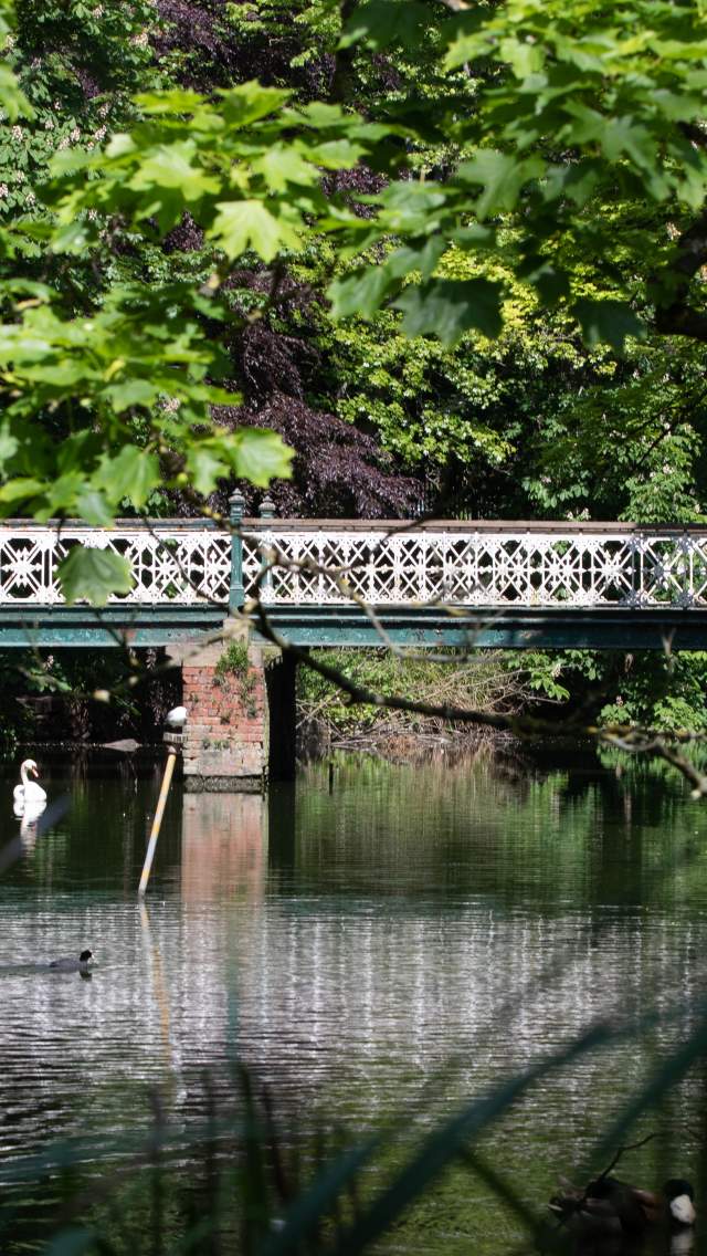Botanic Gardens bridge