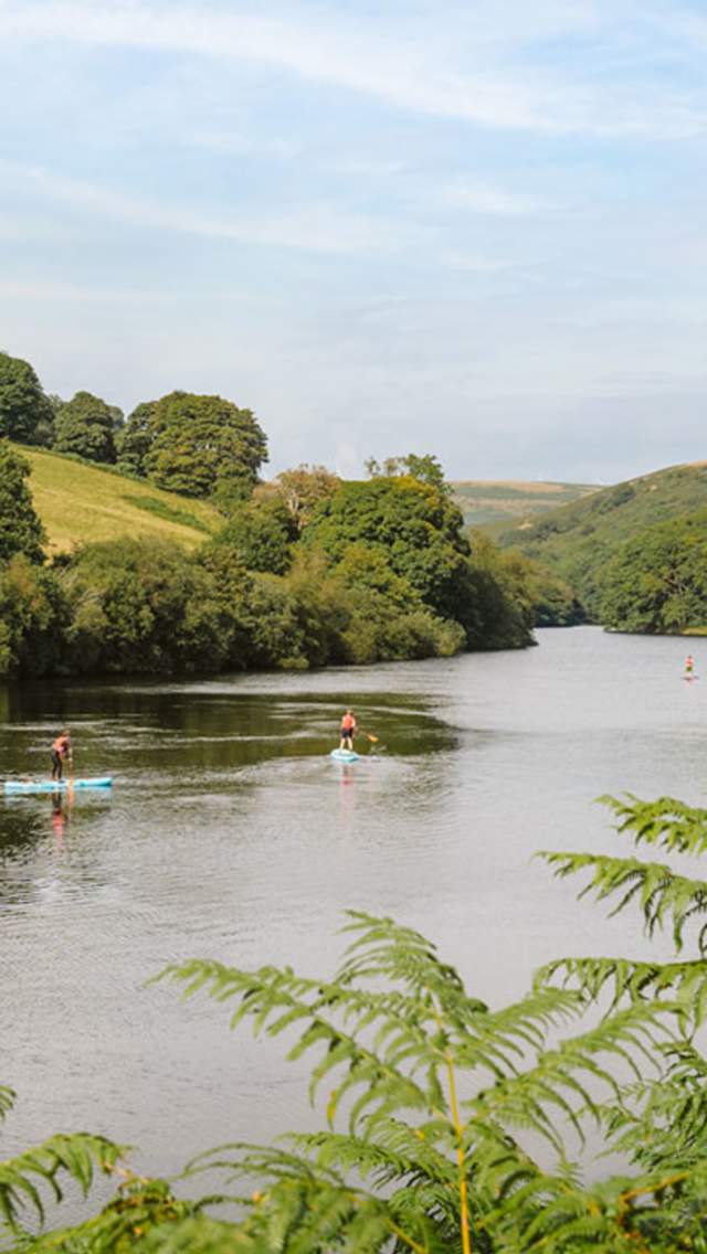 People paddleboarding on Lliw Reservoir