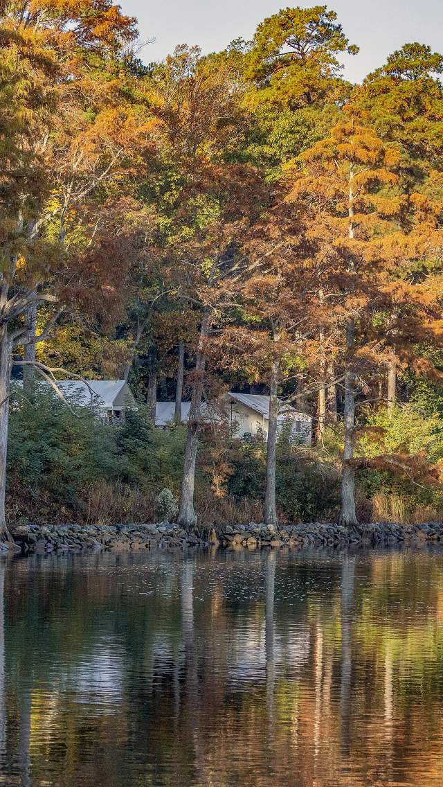 Chickahominy Riverfront Park Fall