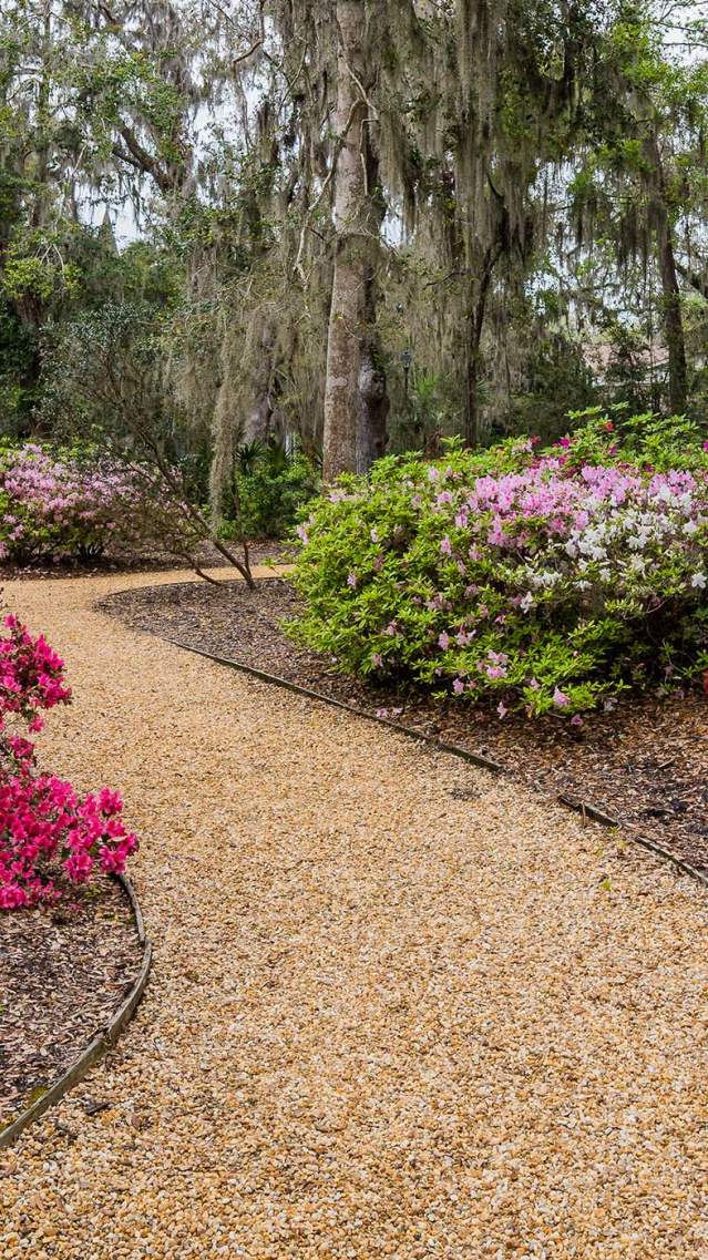 Thousands of azaleas add colorful hues during springtime at Wesley Memorial Gardens on St. Simons Island, GA