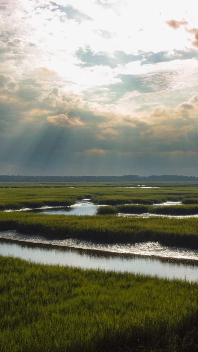 Golden Isles Marshes