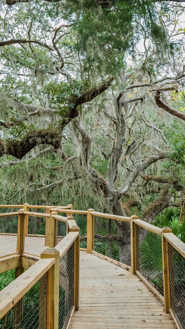 Jekyll Island Nature Trail in Golden Isles