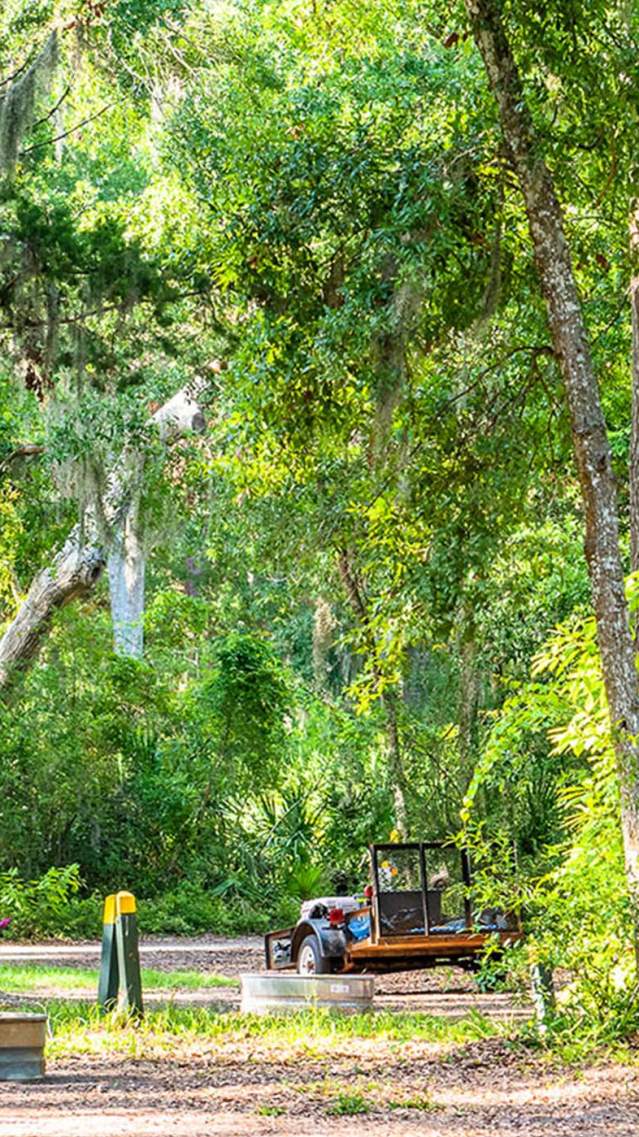 Tents are nestled among the sprawling live oak trees at the Jekyll Island Campground