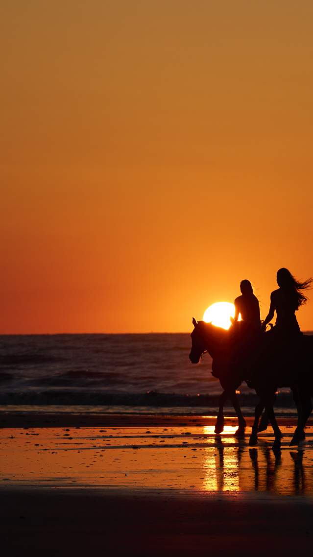 Horseback riding on the beach at sunset