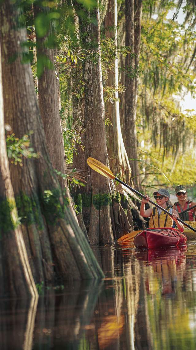 A group kayaking through the Altamaha River