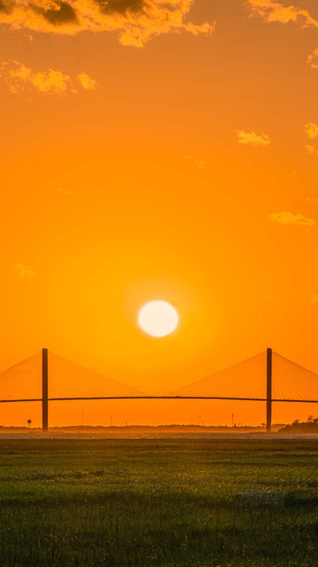 Brunswick's iconic Sidney Lanier Bridge is the longest cable stayed bridge in Georgia.