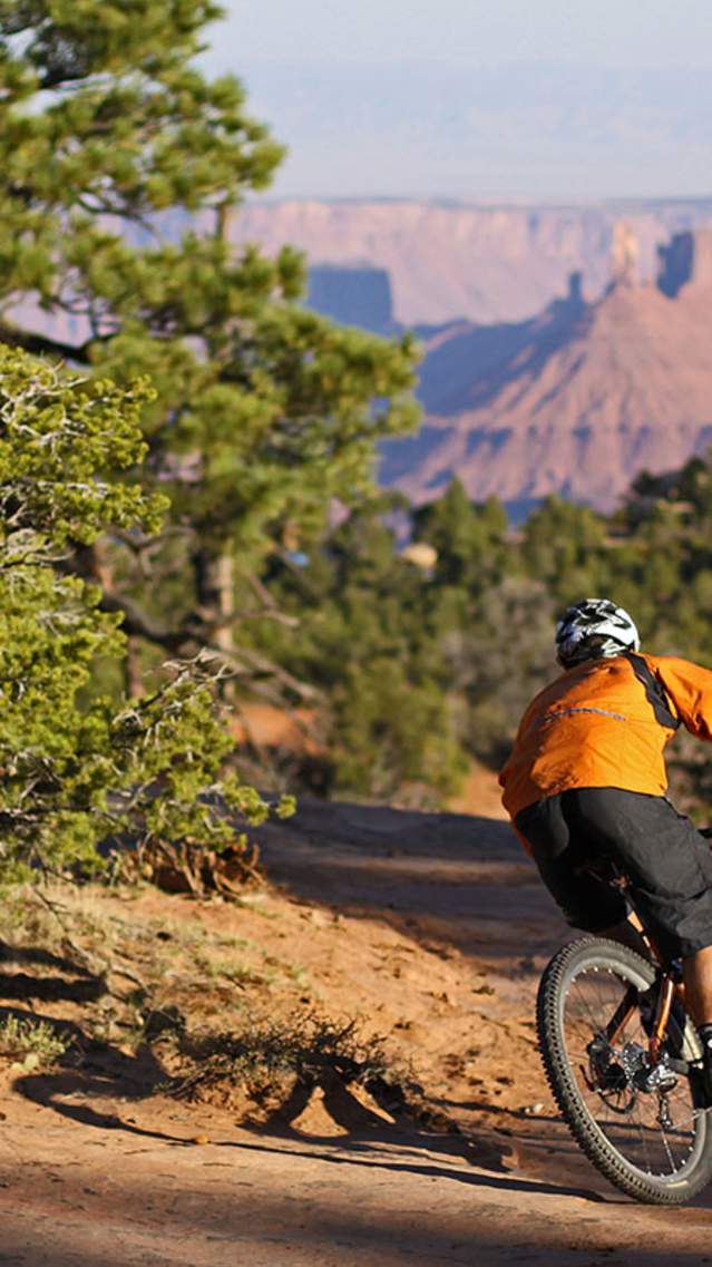 mountain biking