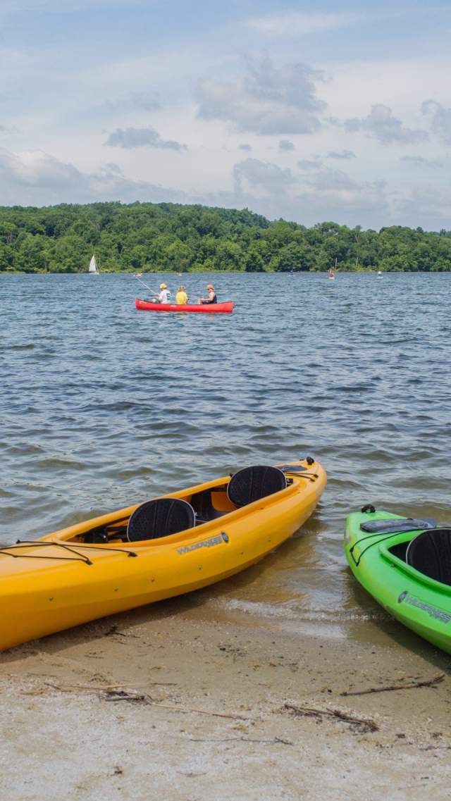 Marsh Creek