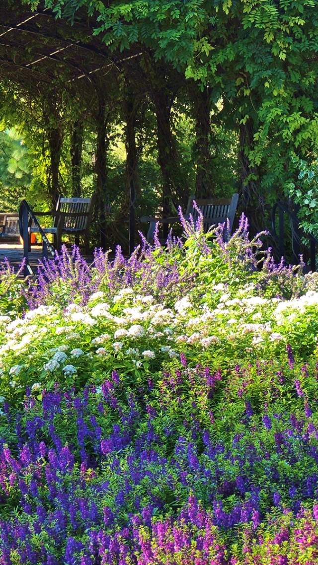 Enjoy the Sunshine: Outdoor Adventures to Experience in San Antonio!