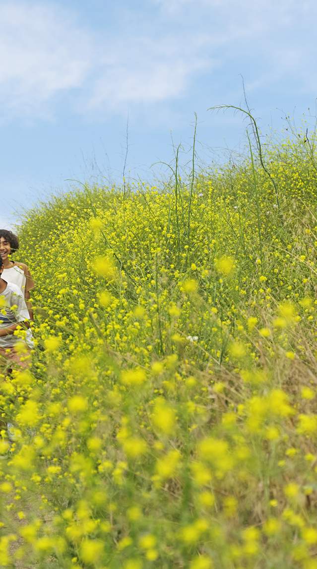 Popular Hikes in Anaheim and Orange County OC