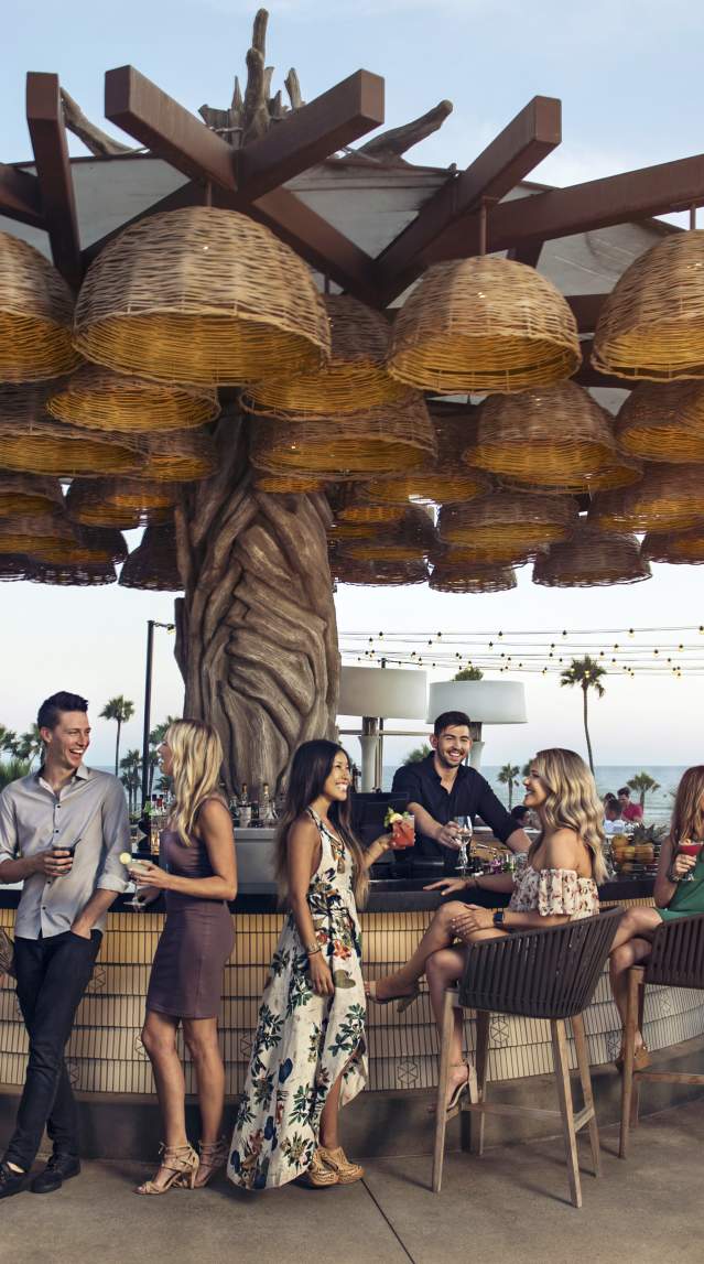 Tanner's Treehouse Bar at Pasea Hotel & Spa