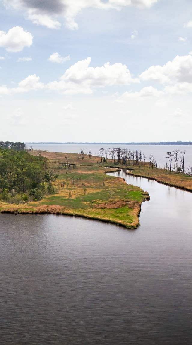 Goose Creek State Park