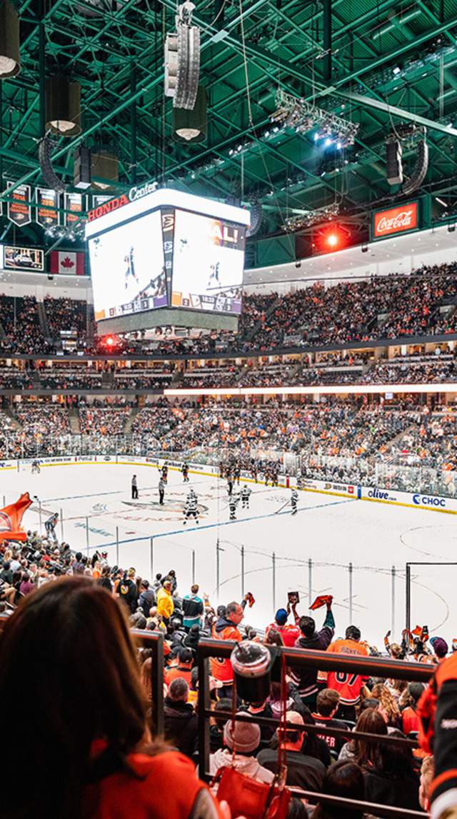 Honda Center Ducks Game