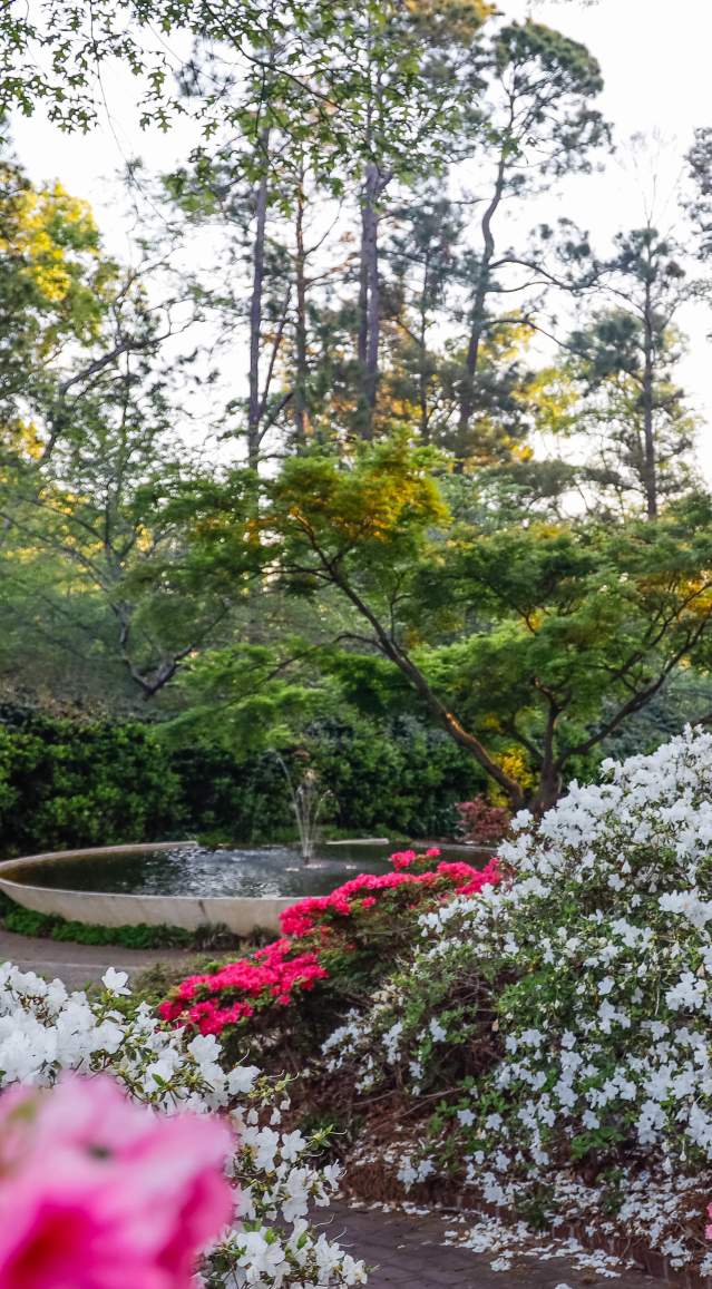 York County Spring Bucket List