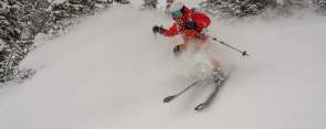 A skier carves through deep powder in a snow-covered evergreen forest near Jackson, Wyoming. Fresh snow sprays around the skier as they descend through the trees, highlighting powder skiing and winter recreation in Teton County.