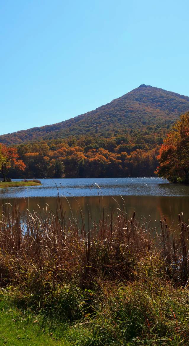 Bedford Lake View