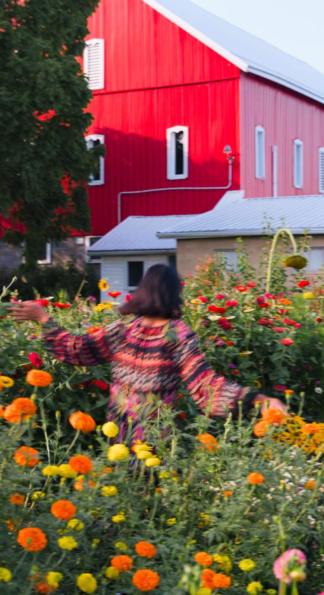 Agritourism