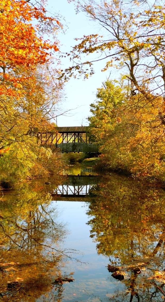 Fall in Bedford County PA
