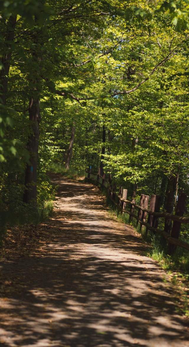 Nature trail